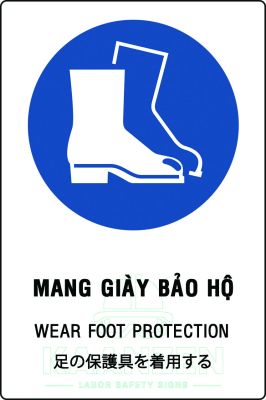 Mang giày bảo hộ